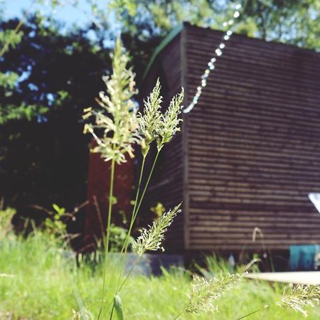 Tiny House Nouvelle Annonce Boho Ocean Hotel Naujac-sur-Mer Buitenkant foto